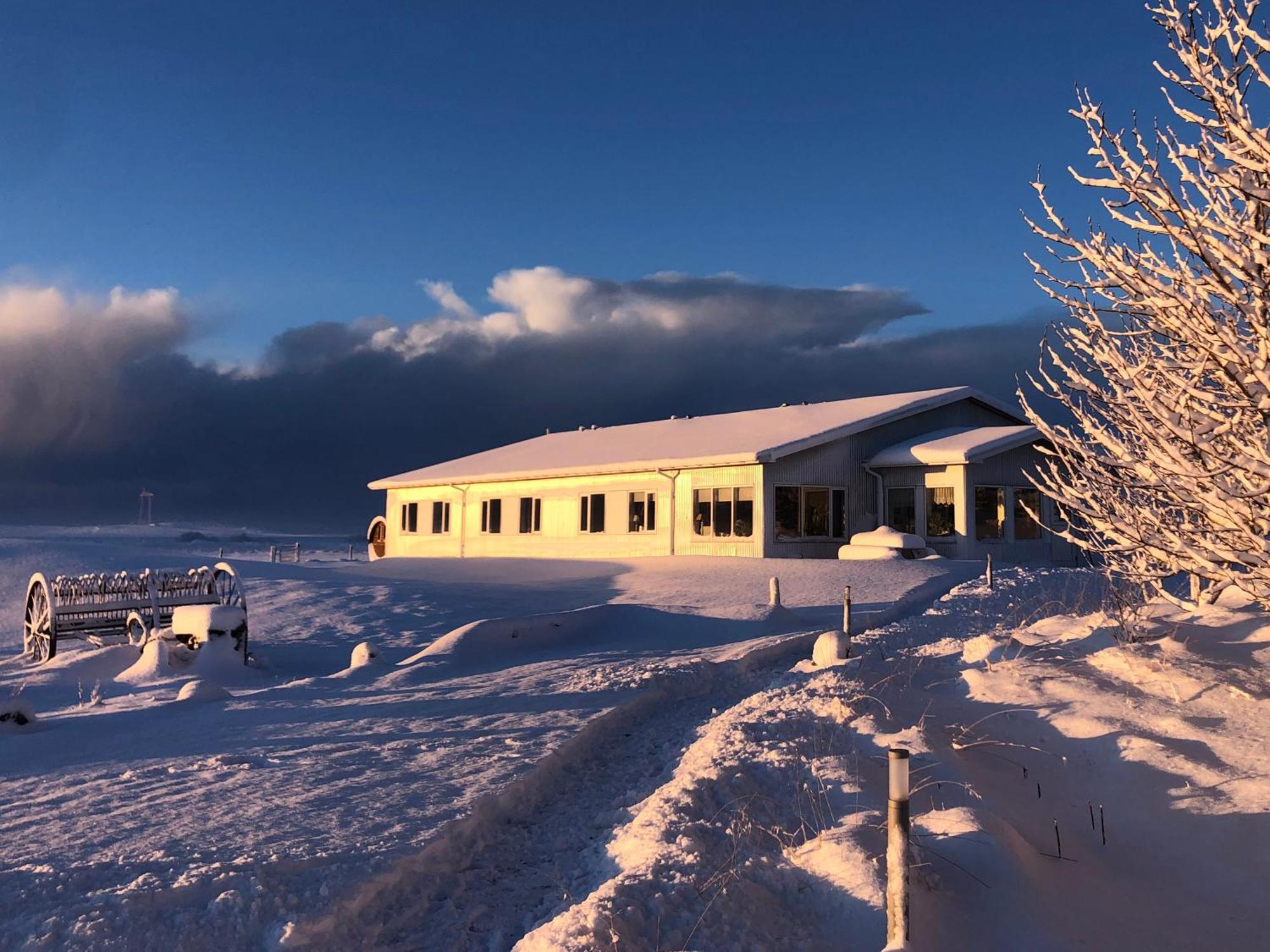 Lambastadir Guesthouse Selfoss Zewnętrze zdjęcie