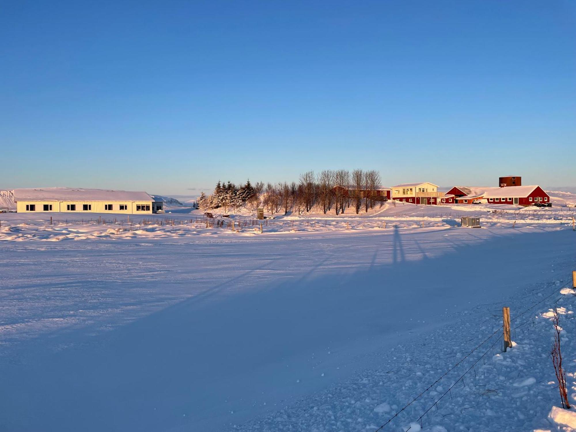 Lambastadir Guesthouse Selfoss Zewnętrze zdjęcie