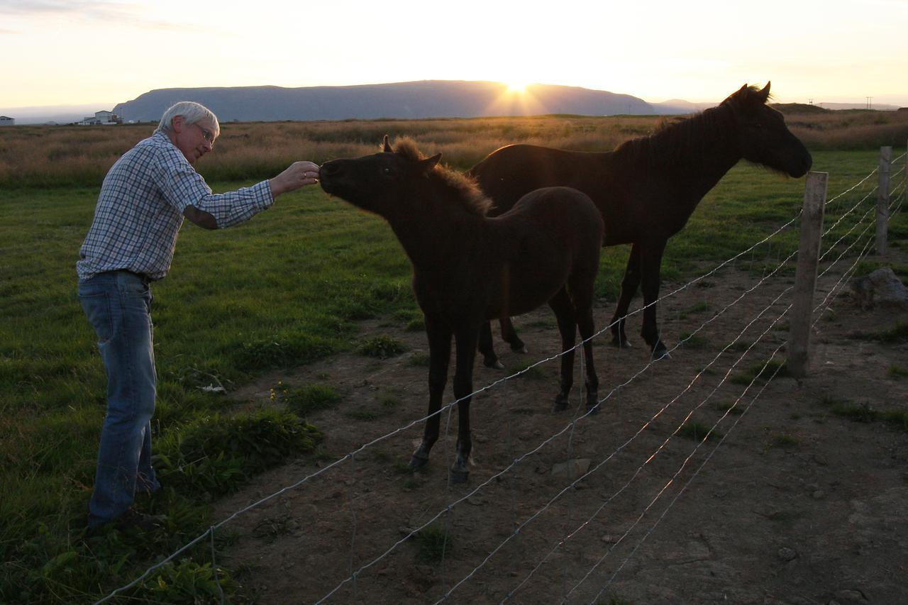 Lambastadir Guesthouse Selfoss Zewnętrze zdjęcie