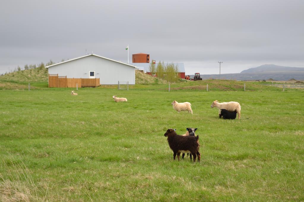Lambastadir Guesthouse Selfoss Zewnętrze zdjęcie